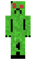 ryhuddl minecraft skin