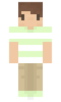 102e2cd9ff21e8 minecraft skin