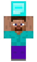 WeG minecraft skin