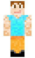 TwoStonesOneBird minecraft skin