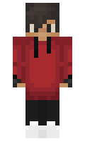 GewoonLarsNL minecraft skin