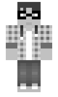 10640555f8461c minecraft skin