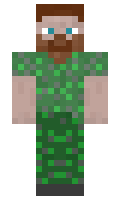 tox minecraft skin