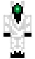 SunnyD9909 minecraft skin