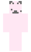 SUKI minecraft skin