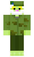 10990183a90cc2 minecraft skin