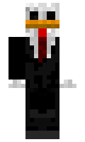 nitochka minecraft skin