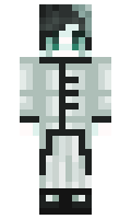 tnuoB minecraft skin