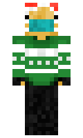 10daa001f2717d minecraft skin