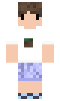 CLAN minecraft skin