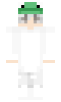 1102d0dca38293 minecraft skin