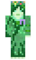 11099f9a5e4c14 minecraft skin