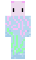 11119c2cbf23ff minecraft skin