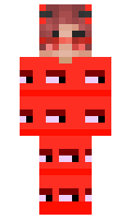 spawnpoint minecraft skin