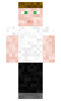 HarrisT27 minecraft skin