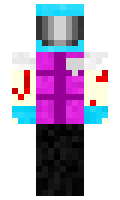 ledu minecraft skin