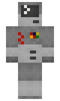 Nets minecraft skin