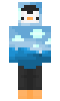 andreapais minecraft skin