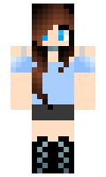 TheVanishedNinja minecraft skin