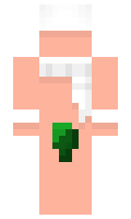 119041d6f1c70c minecraft skin
