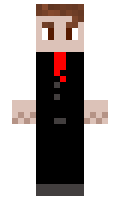 1190d104812267 minecraft skin