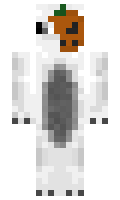 11ccc55f32a423 minecraft skin