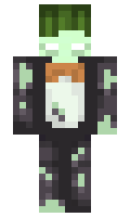 11db309170ac81 minecraft skin