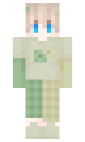 11fde65d52636f minecraft skin