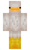 haynimi minecraft skin