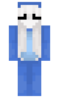 nejwiem minecraft skin