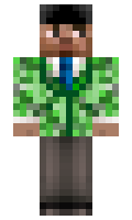 1255ee2dc43586 minecraft skin