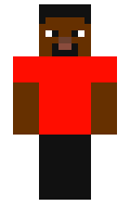 SARIZ minecraft skin