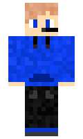 Swiftnoblade4715 minecraft skin