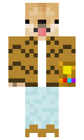 JrWitz minecraft skin