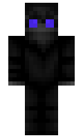 WGEE minecraft skin