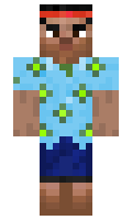 6gl minecraft skin