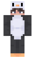 13081198acd09f minecraft skin
