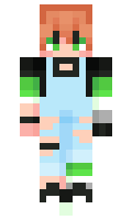1311d990355733 minecraft skin