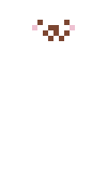 pekkleten minecraft skin