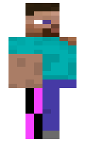 Destrution987 minecraft skin