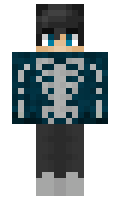 13593d0ebb24ef minecraft skin