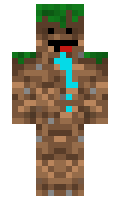 christopherr minecraft skin