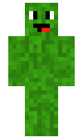 pikcel minecraft skin