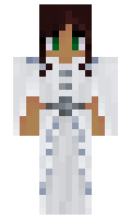 137425e6256c5a minecraft skin