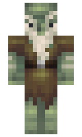 basscharrie minecraft skin