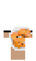 13874c4292c051 minecraft skin