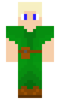 Gildan minecraft skin