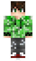 13b8272f84a930 minecraft skin