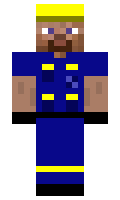 petto minecraft skin