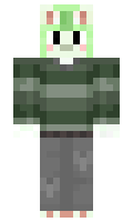 Dsnikles minecraft skin